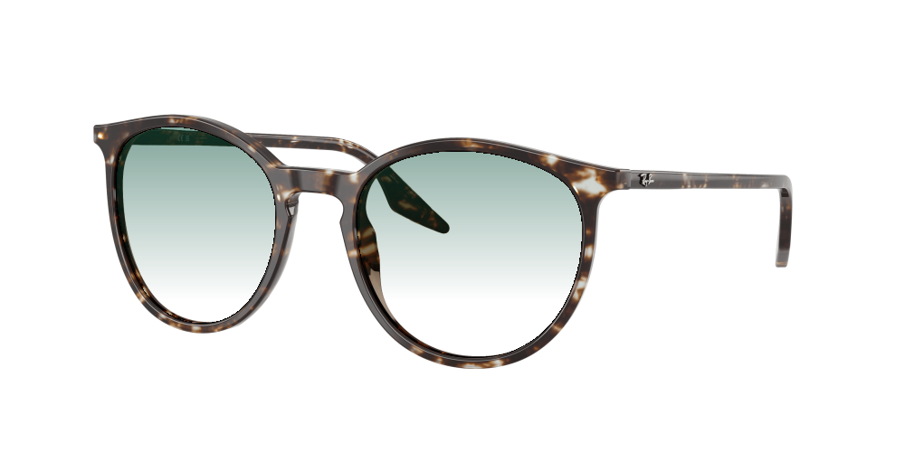 Ray Ban RB2204 143151 Ray Ban RB2204 143151