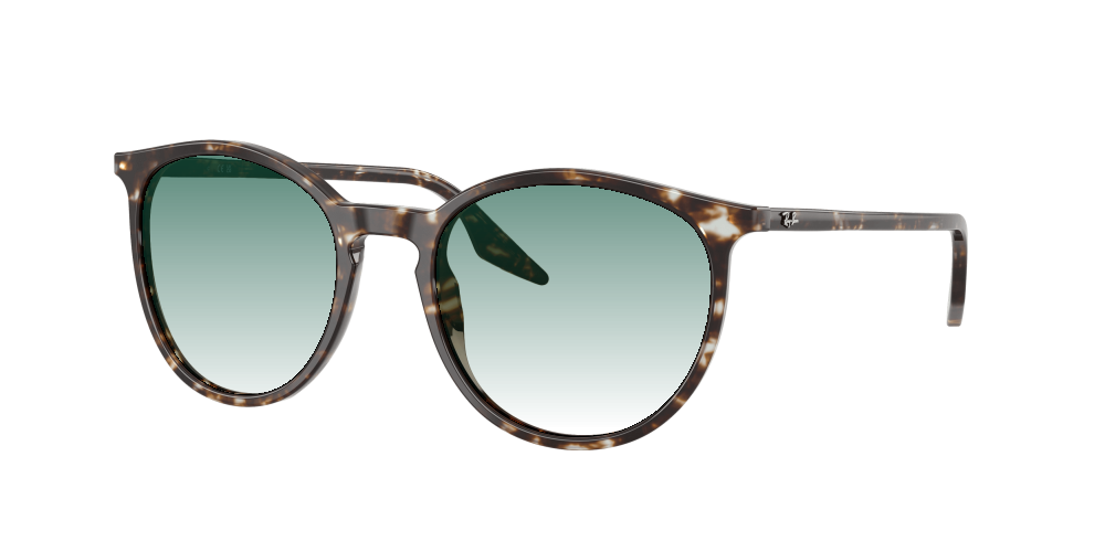 Ray Ban RB2204 143151 Ray Ban RB2204 143151