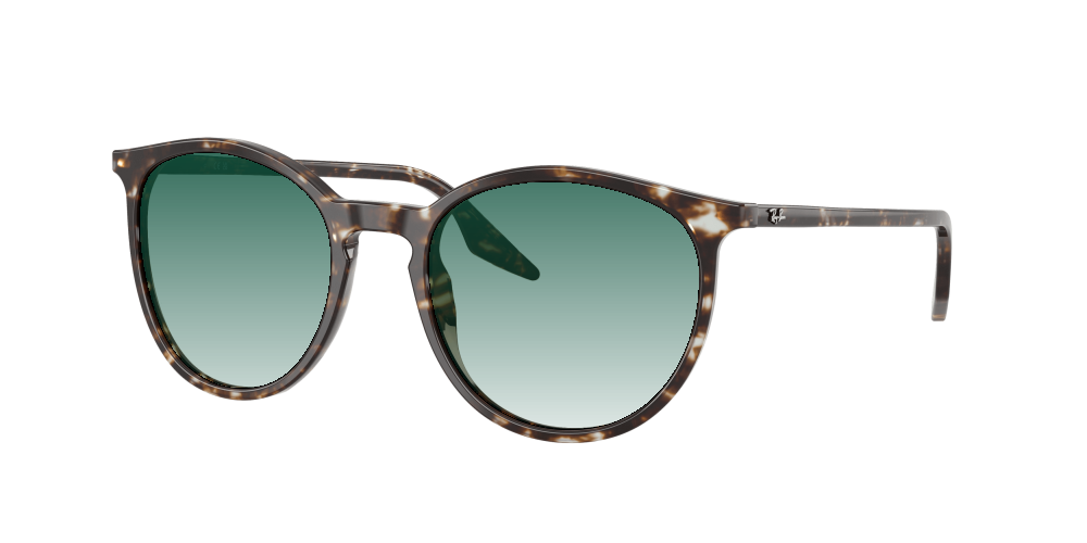 Ray Ban RB2204 143151 Ray Ban RB2204 143151
