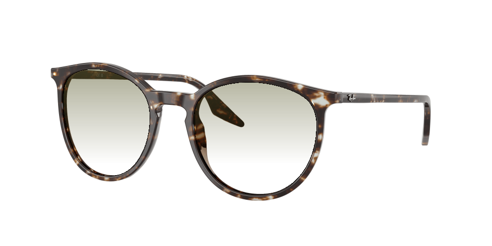 Ray Ban RB2204 143151 Ray Ban RB2204 143151