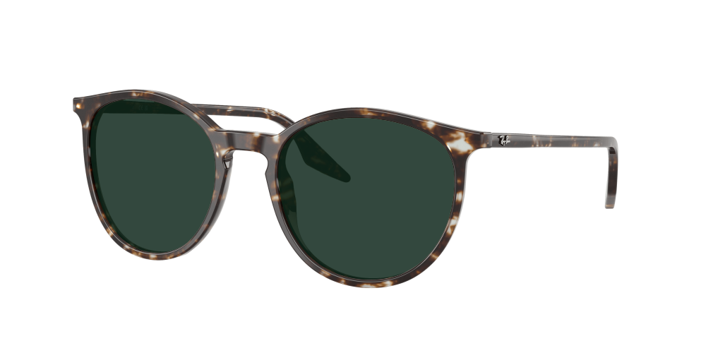 Ray Ban RB2204 143151 Ray Ban RB2204 143151