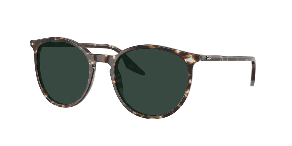 Ray Ban RB2204 143151 Ray Ban RB2204 143151