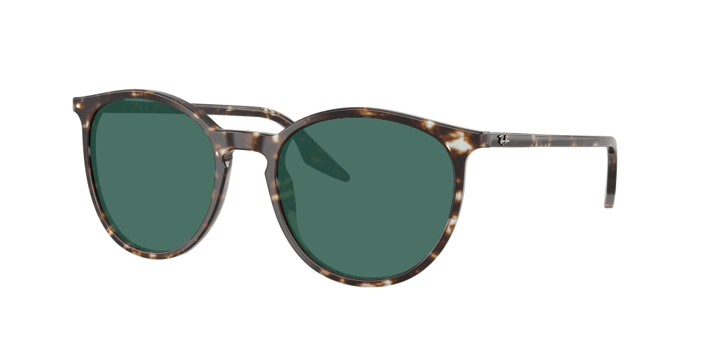 Ray Ban RB2204 143151 Ray Ban RB2204 143151