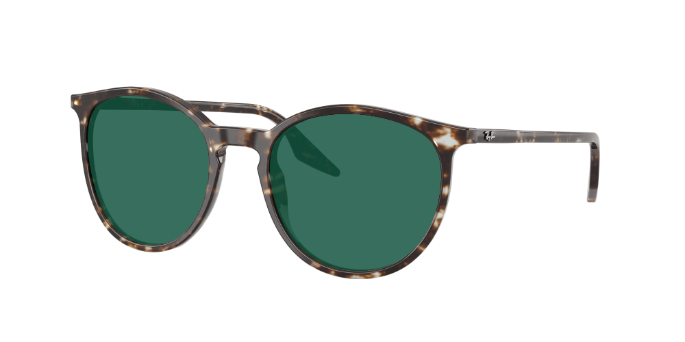 Ray Ban RB2204 143151 Ray Ban RB2204 143151