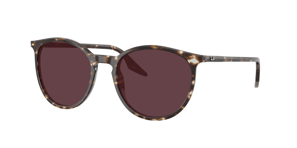 Ray Ban RB2204 143151 Ray Ban RB2204 143151