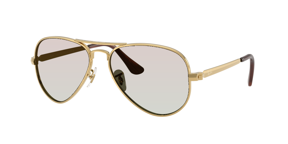 Ray Ban RB3925 001/31 Aviator Max Ray Ban RB3925 001/31 Aviator Max