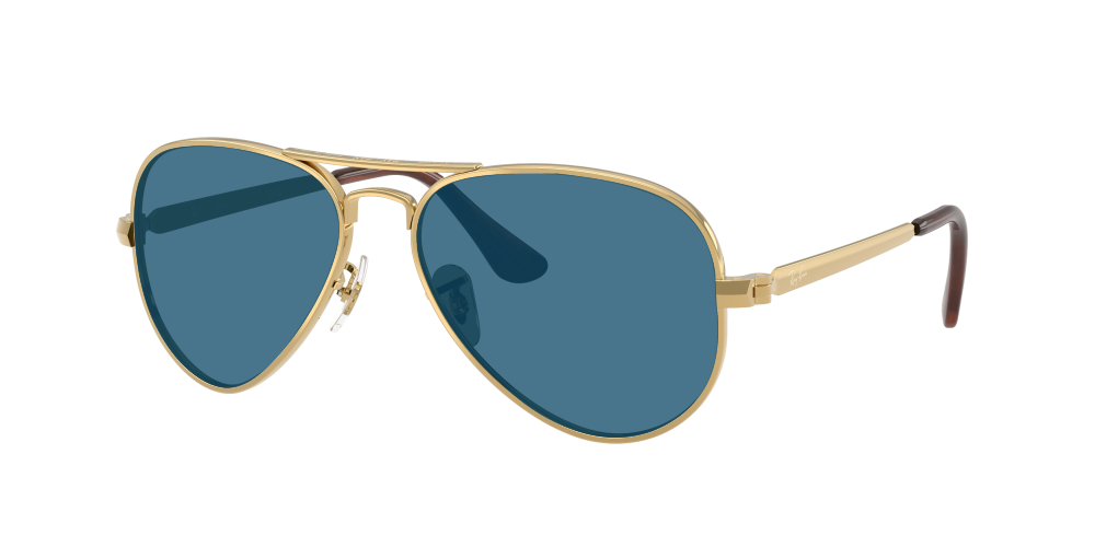 Ray-Ban RB3925 001/31 Aviator Max Ray-Ban RB3925 001/31 Aviator Max