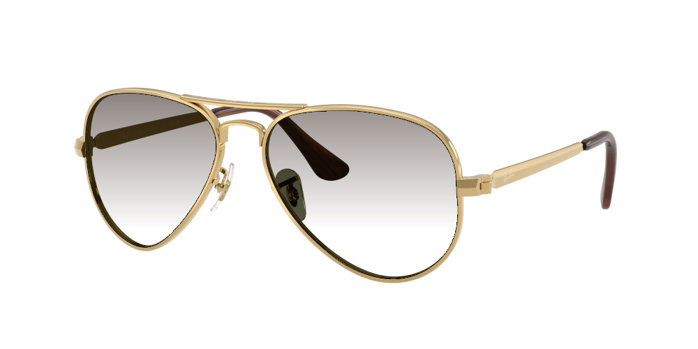 Ray Ban RB3925 001/31 Aviator Max Ray Ban RB3925 001/31 Aviator Max
