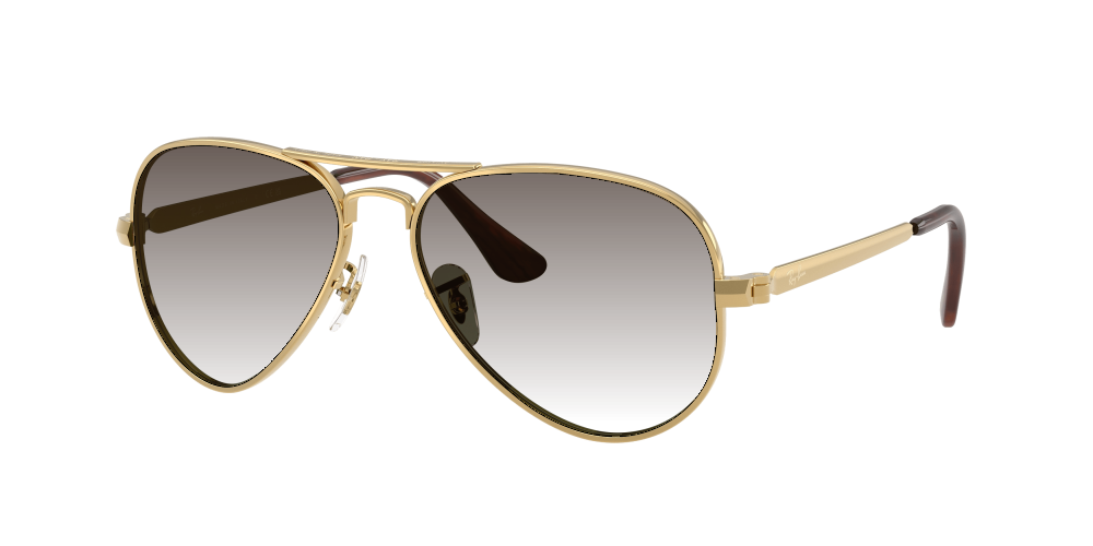 Ray Ban RB3925 001/31 Aviator Max Ray Ban RB3925 001/31 Aviator Max