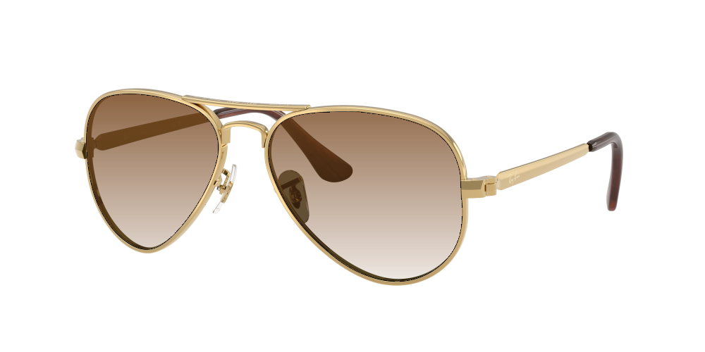 Ray Ban RB3925 001/31 Aviator Max Ray Ban RB3925 001/31 Aviator Max