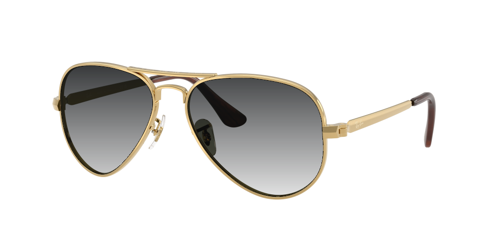 Ray Ban RB3925 001/31 Aviator Max Ray Ban RB3925 001/31 Aviator Max