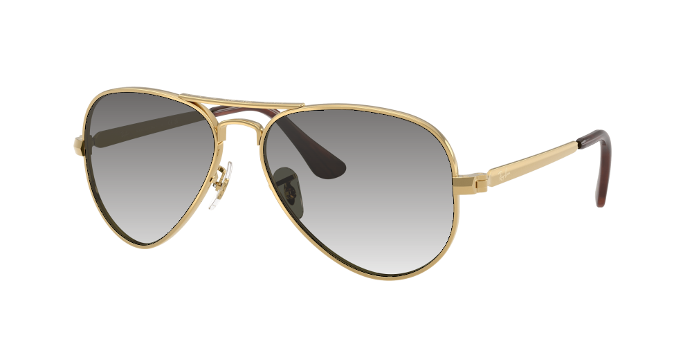Ray Ban RB3925 001/31 Aviator Max Ray Ban RB3925 001/31 Aviator Max