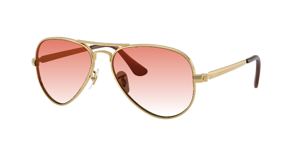 Ray-Ban RB3925 001/31 Aviator Max Ray-Ban RB3925 001/31 Aviator Max