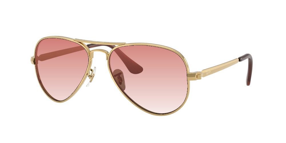 Ray Ban RB3925 001/31 Aviator Max Ray Ban RB3925 001/31 Aviator Max