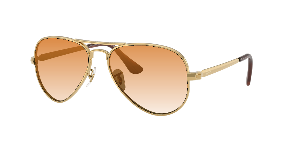 Ray Ban RB3925 001/31 Aviator Max Ray Ban RB3925 001/31 Aviator Max