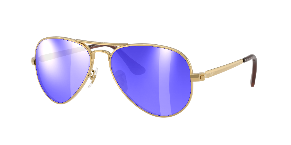 Ray Ban RB3925 001/31 Aviator Max Ray Ban RB3925 001/31 Aviator Max