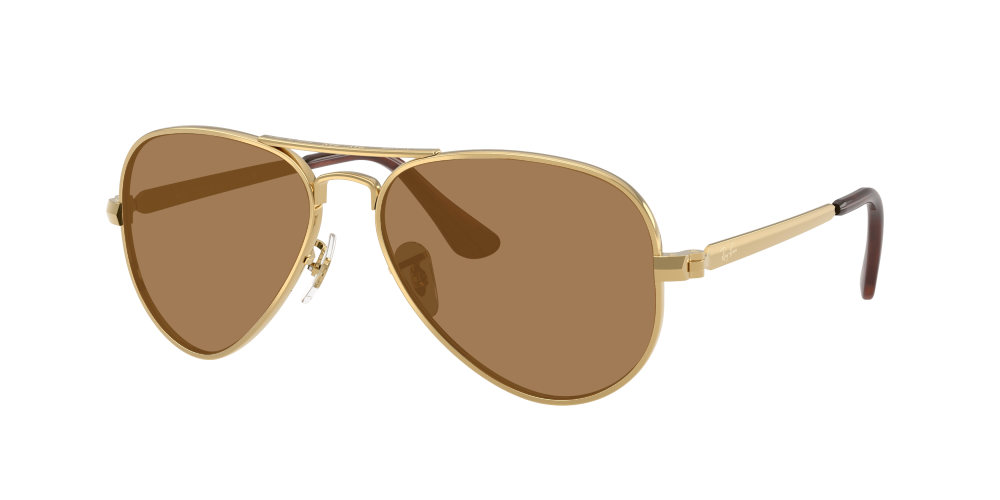 Ray-Ban RB3925 001/31 Aviator Max Ray-Ban RB3925 001/31 Aviator Max