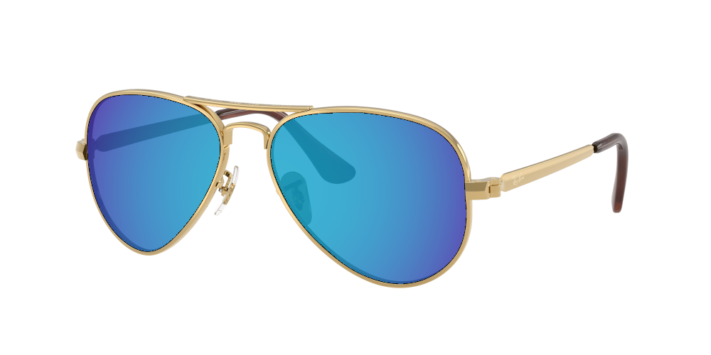 Ray-Ban RB3925 001/31 Aviator Max Ray-Ban RB3925 001/31 Aviator Max