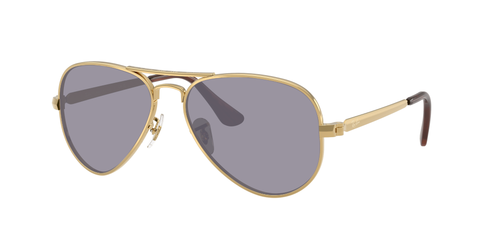 Ray Ban RB3925 001/31 Aviator Max Ray Ban RB3925 001/31 Aviator Max