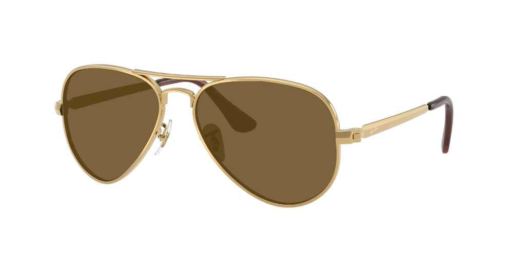 Ray Ban RB3925 001/31 Aviator Max Ray Ban RB3925 001/31 Aviator Max