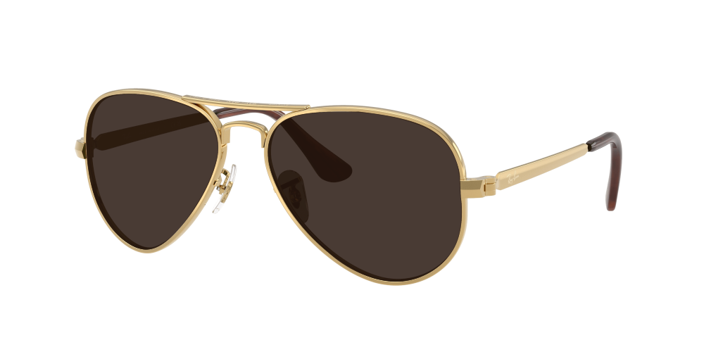 Ray Ban RB3925 001/31 Aviator Max Ray Ban RB3925 001/31 Aviator Max