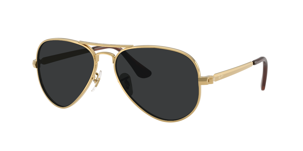 Ray Ban RB3925 001/31 Aviator Max Ray Ban RB3925 001/31 Aviator Max