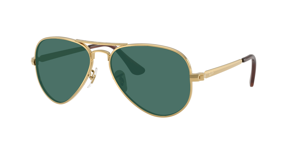 Ray-Ban RB3925 001/31 Aviator Max Ray-Ban RB3925 001/31 Aviator Max