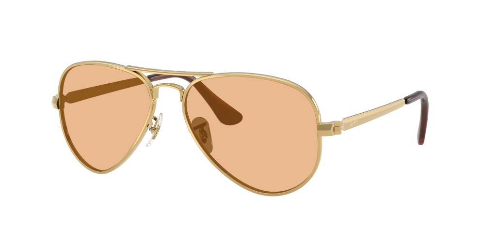 Ray Ban RB3925 001/31 Aviator Max Ray Ban RB3925 001/31 Aviator Max