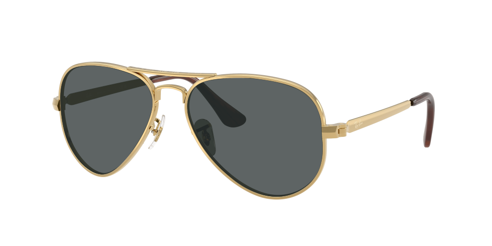 Ray Ban RB3925 001/31 Aviator Max Ray Ban RB3925 001/31 Aviator Max