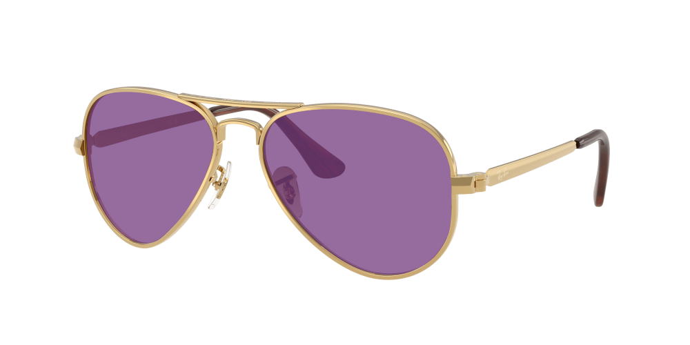 Ray-Ban RB3925 001/51 Aviator Max Ray-Ban RB3925 001/51 Aviator Max