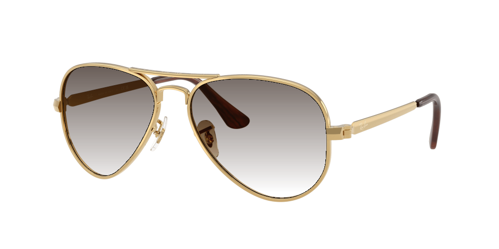 Ray Ban RB3925 001/51 Aviator Max Ray Ban RB3925 001/51 Aviator Max
