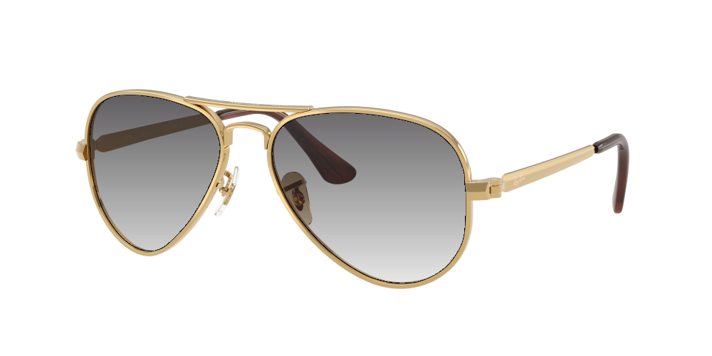 Ray Ban RB3925 001/51 Aviator Max Ray Ban RB3925 001/51 Aviator Max