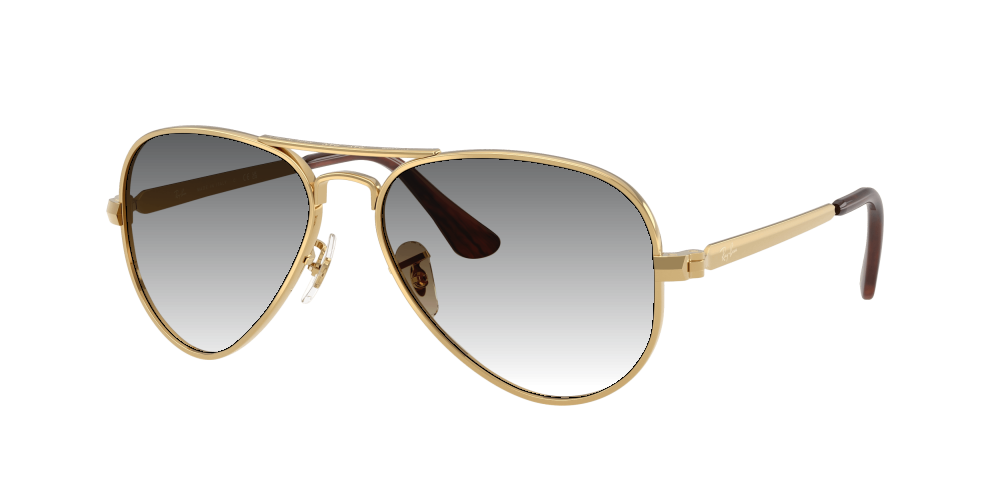 Ray Ban RB3925 001/51 Aviator Max Ray Ban RB3925 001/51 Aviator Max