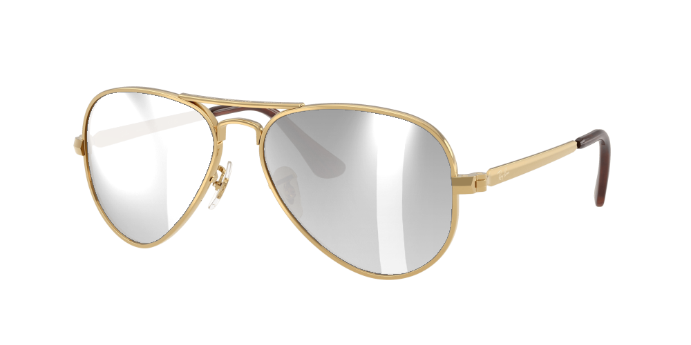Ray Ban RB3925 001/51 Aviator Max Ray Ban RB3925 001/51 Aviator Max