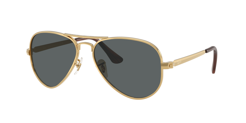 Ray Ban RB3925 001/51 Aviator Max Ray Ban RB3925 001/51 Aviator Max
