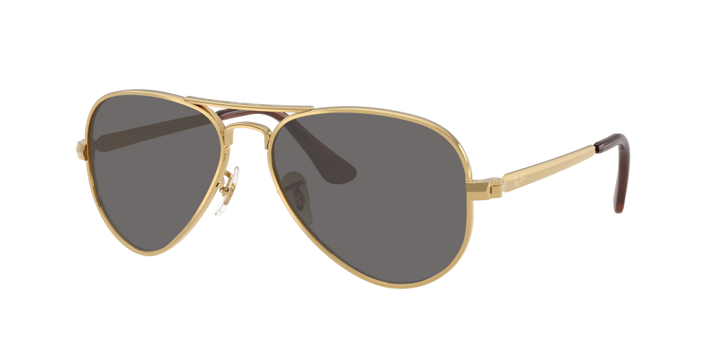 Ray Ban RB3925 001/51 Aviator Max Ray Ban RB3925 001/51 Aviator Max