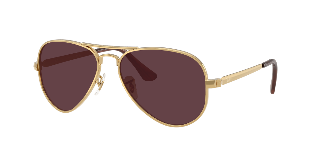 Ray Ban RB3925 001/51 Aviator Max Ray Ban RB3925 001/51 Aviator Max