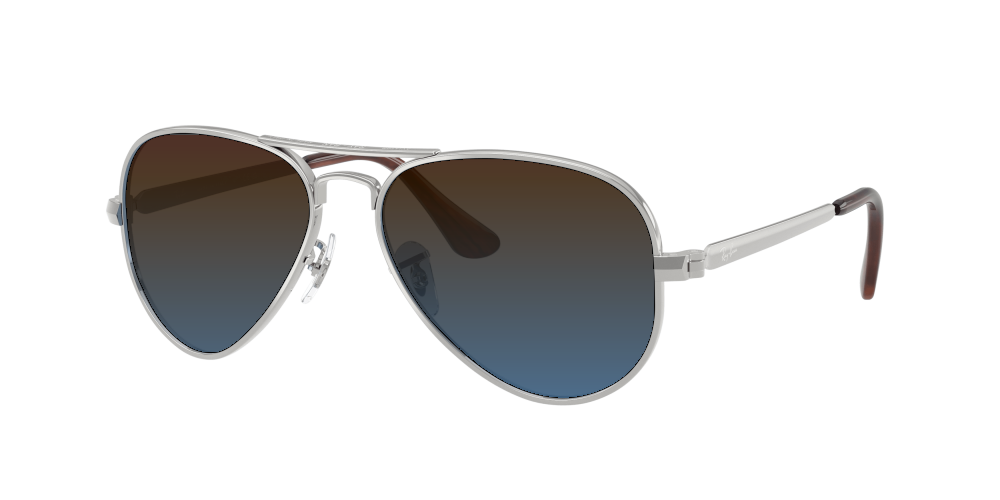 Ray Ban RB3925 003/3F Aviator Max Ray Ban RB3925 003/3F Aviator Max