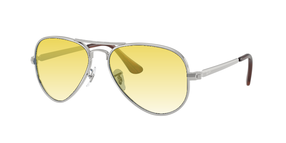 Ray Ban RB3925 003/3F Aviator Max Ray Ban RB3925 003/3F Aviator Max