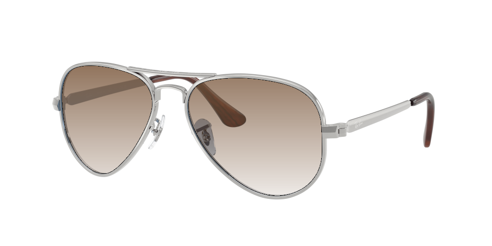 Ray-Ban RB3925 003/3F Aviator Max Ray-Ban RB3925 003/3F Aviator Max