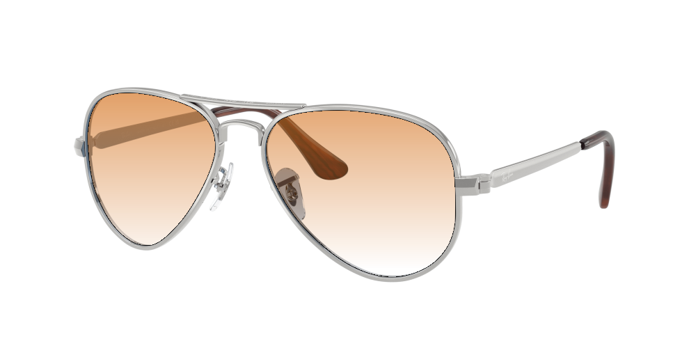 Ray Ban RB3925 003/3F Aviator Max Ray Ban RB3925 003/3F Aviator Max