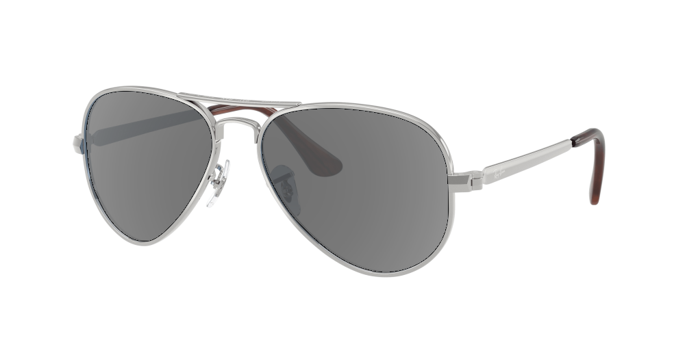 Ray-Ban RB3925 003/3F Aviator Max Ray-Ban RB3925 003/3F Aviator Max