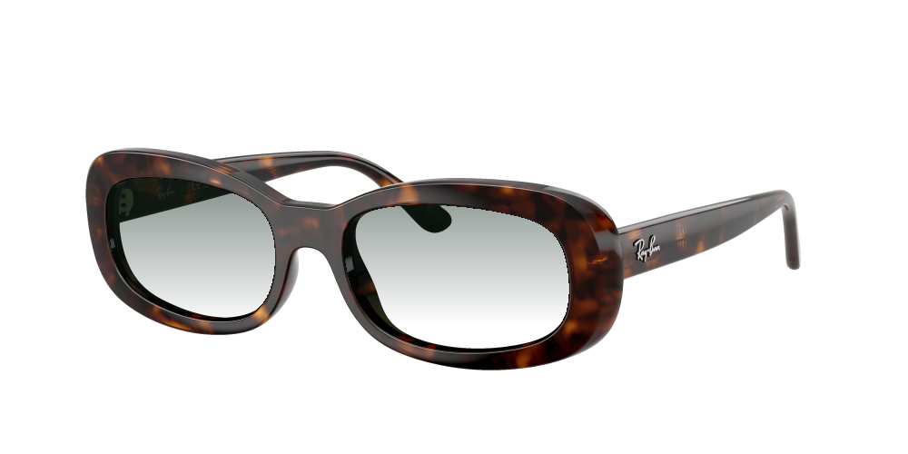 Ray-Ban RB2221 902/31 Ray-Ban RB2221 902/31