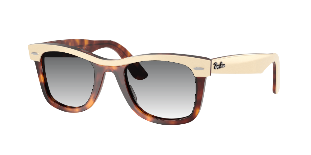 Ray-Ban RB2240 144371 Wayfarer Ray-Ban RB2240 144371 Wayfarer