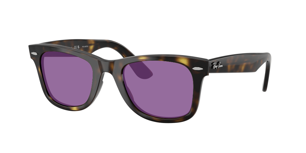 Ray-Ban RB4340 710/M2 Wayfarer Ray-Ban RB4340 710/M2 Wayfarer
