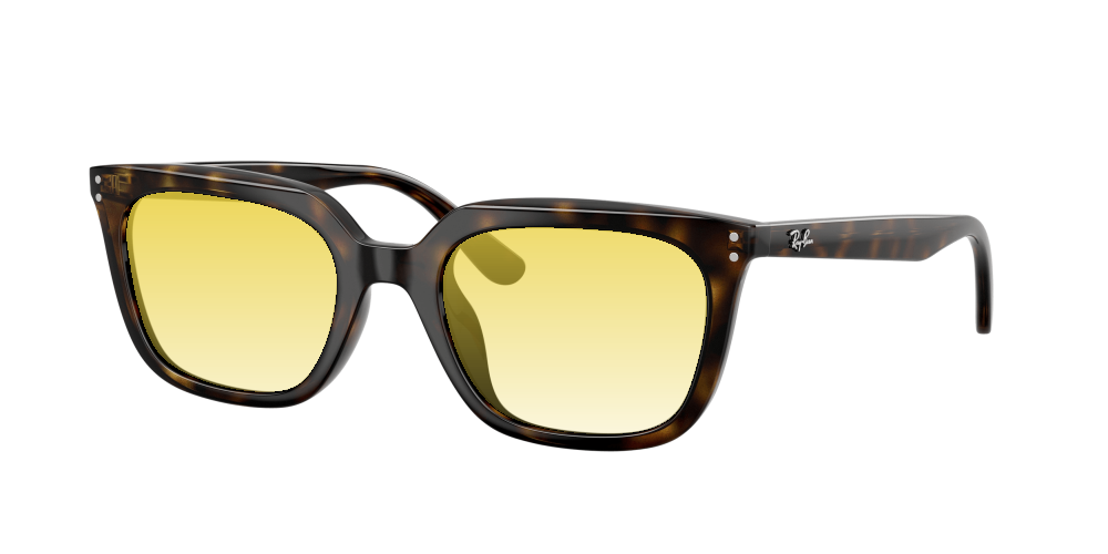 Ray-Ban RB4439D 710/87 Ray-Ban RB4439D 710/87