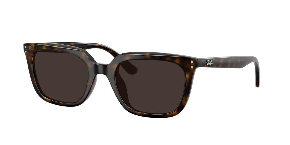 Ray-Ban RB4439D 710/87 Ray-Ban RB4439D 710/87