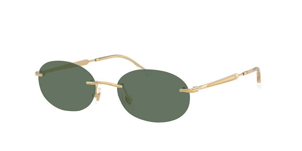 Ray Ban RX3767V 2500 Ray Ban RX3767V 2500