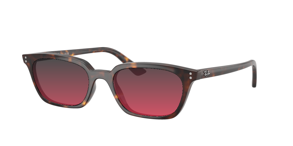 Ray-Ban RB4456 135980 Zaya Ray-Ban RB4456 135980 Zaya