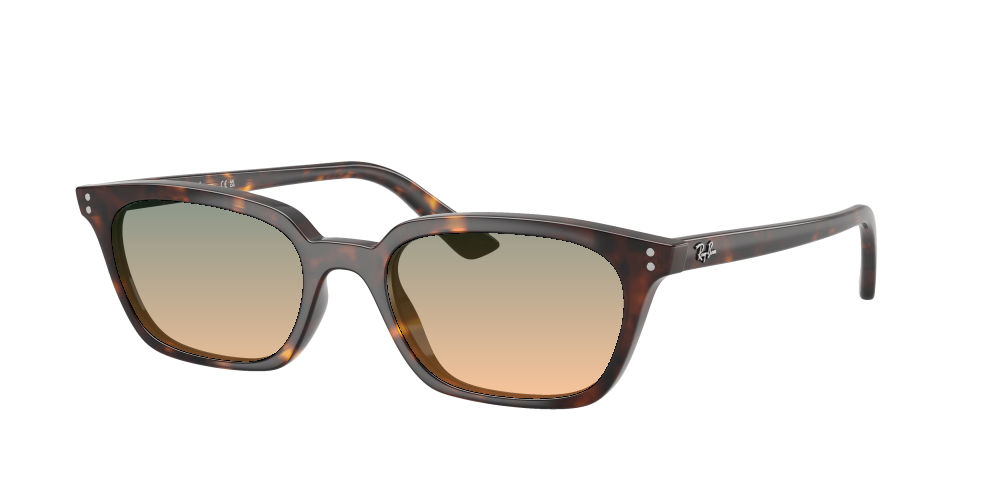 Ray-Ban RB4456 135980 Zaya Ray-Ban RB4456 135980 Zaya